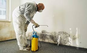 Best Mold Odor Removal Services in Monroe, UT