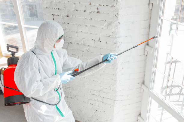 Best Mold Removal for HVAC Installations in Monroe, UT