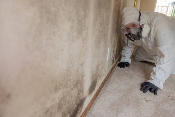 Best Residential Mold Inspection & Testing in Monroe, UT